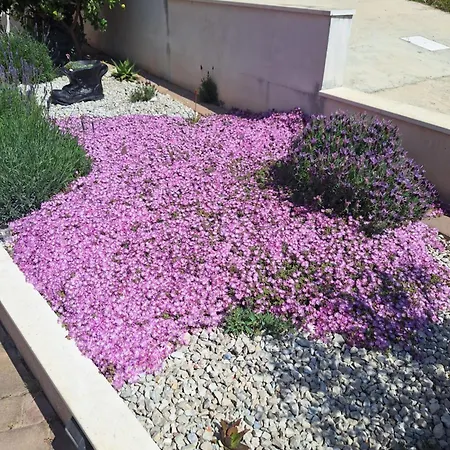 Marija 게스트하우스